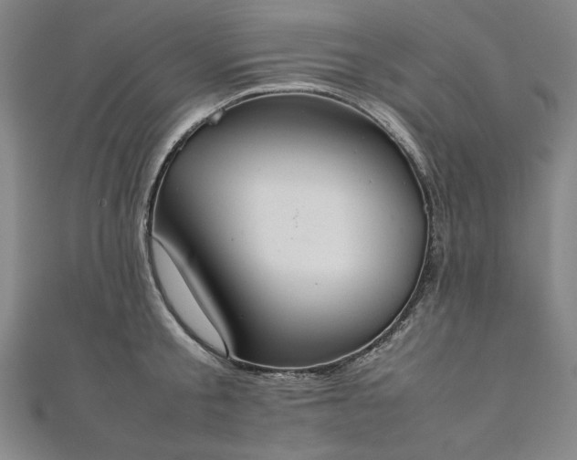 X0000111920805200908031203