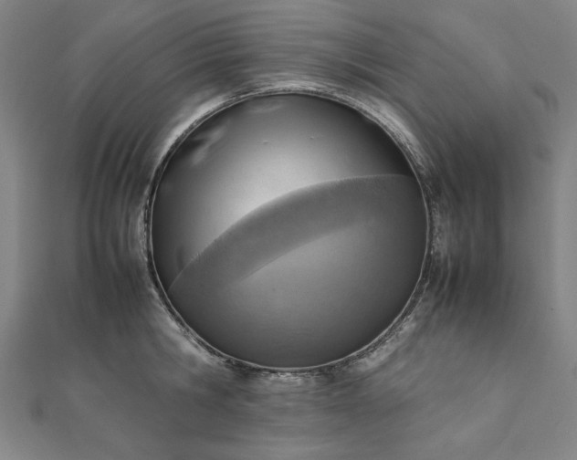 X0000111920806200908031203