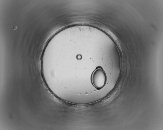 X0000111920807200908031203