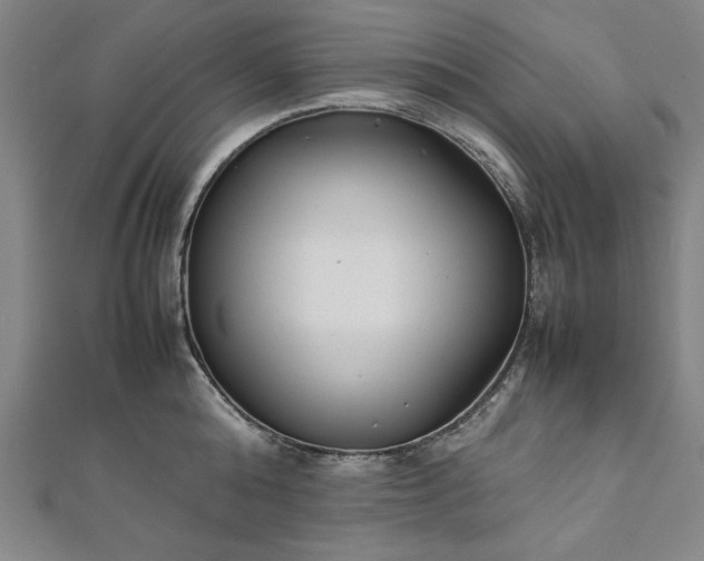 X0000111920808200908031203