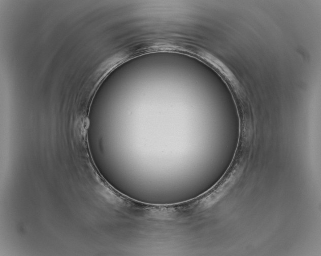 X0000111920809200908031203