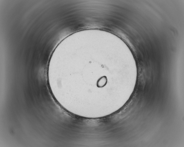 X0000111920810200908031203