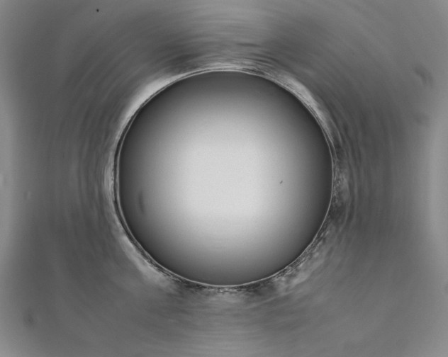 X0000111920811200908031203