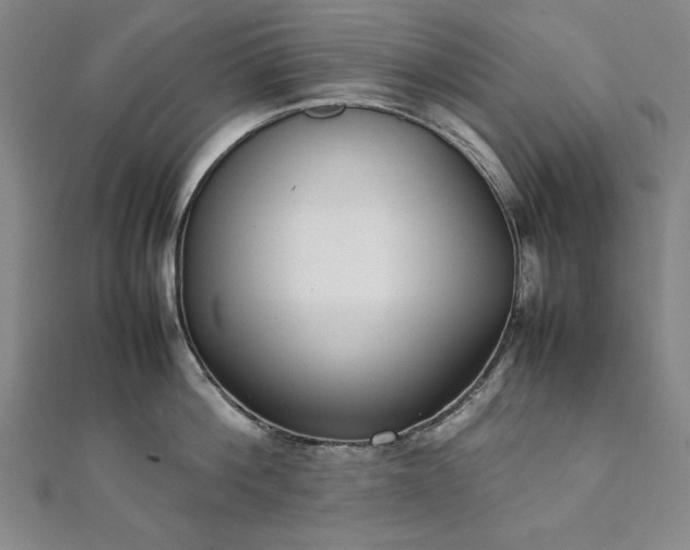 X0000111920812200908031203