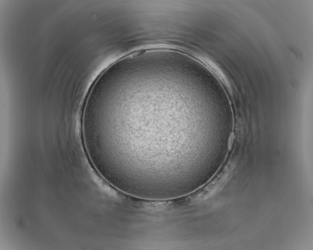 X0000111920813200908031203