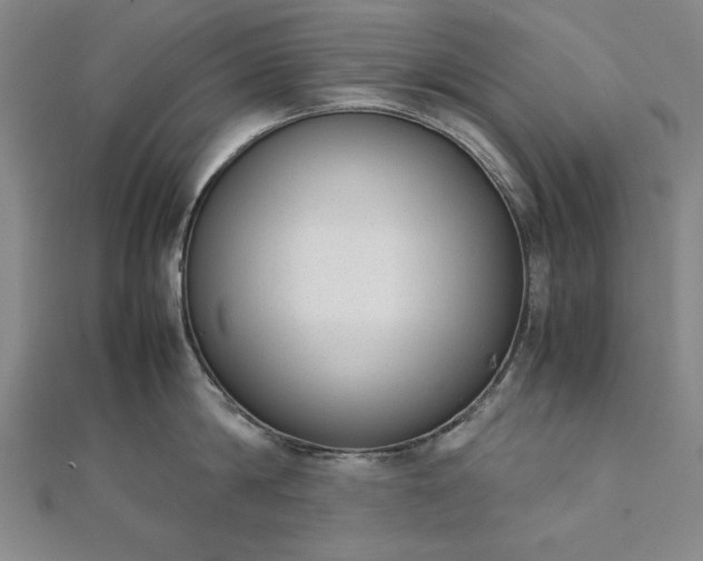 X0000111920814200908031203