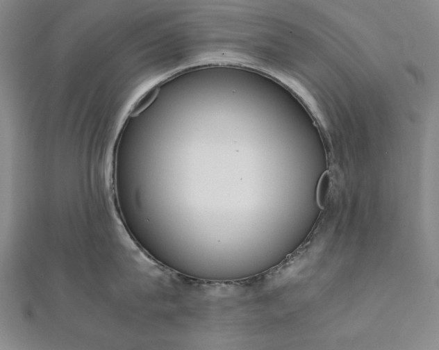 X0000111920815200908031203