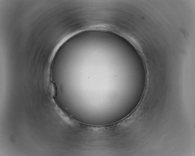 X0000111920816200908031203