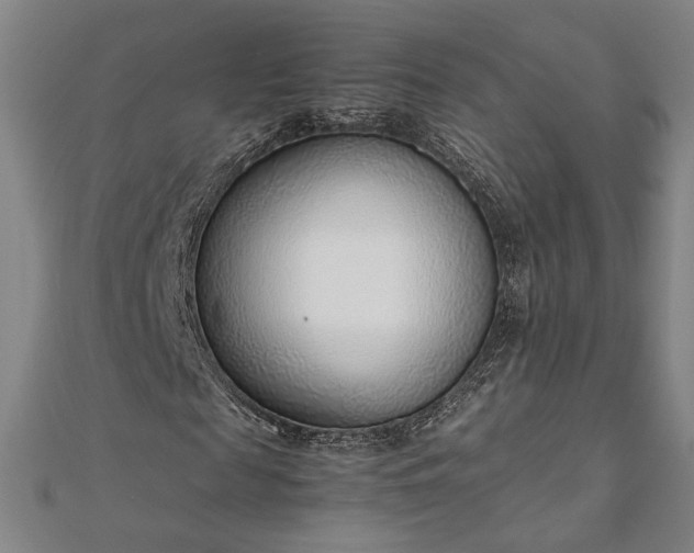 X0000111920817200908031202