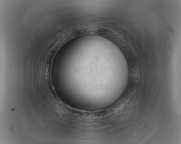 X0000111920818200908031202