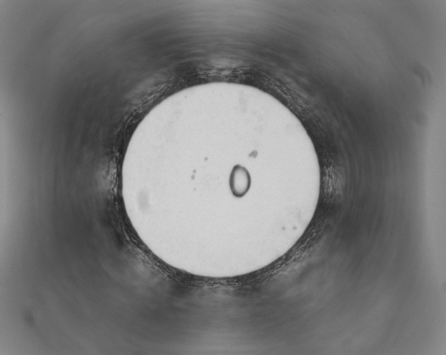 X0000111920820200908031202