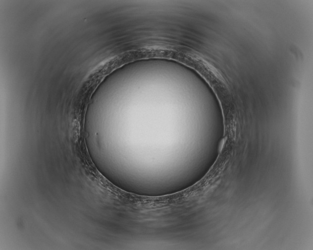 X0000111920821200908031202