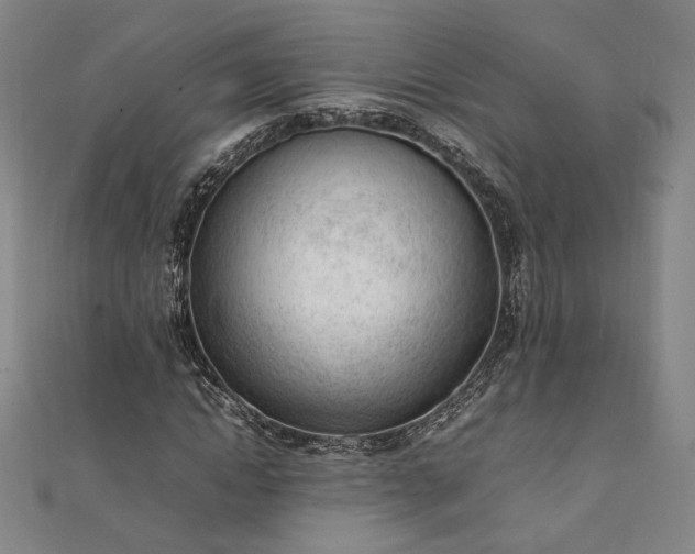 X0000111920822200908031202