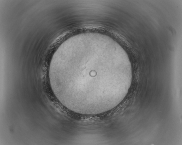 X0000111920824200908031203