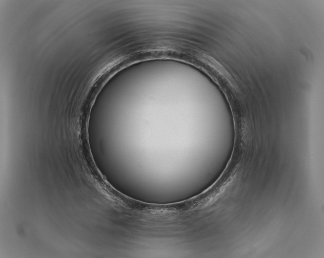 X0000111920826200908031203