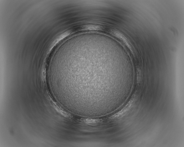 X0000111920827200908031203