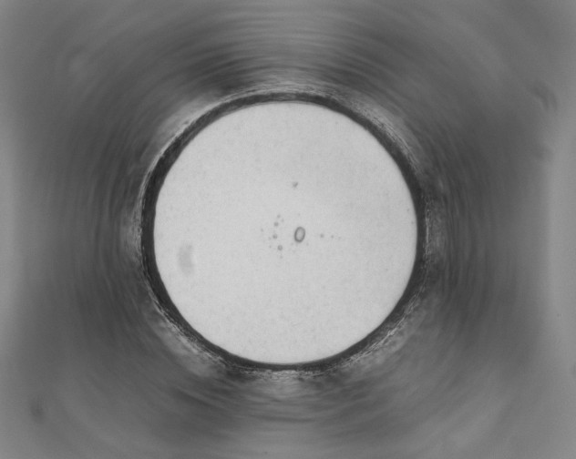 X0000111920828200908031203