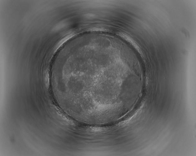 X0000111920829200908031203