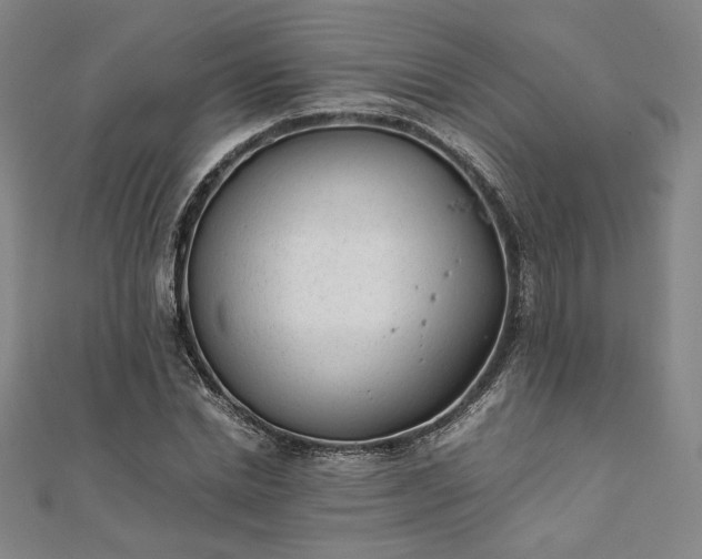 X0000111920830200908031203