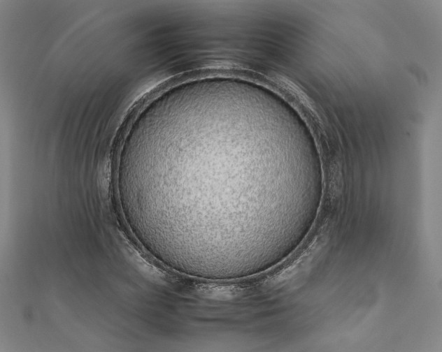 X0000111920831200908031203