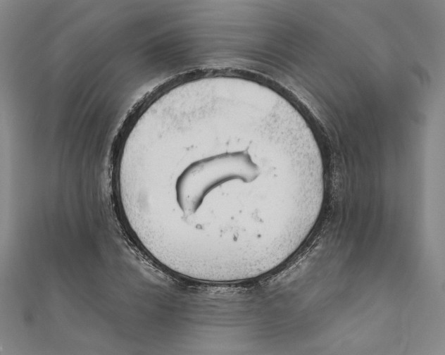 X0000111920832200908031203