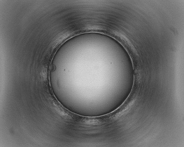 X0000111920833200908031203