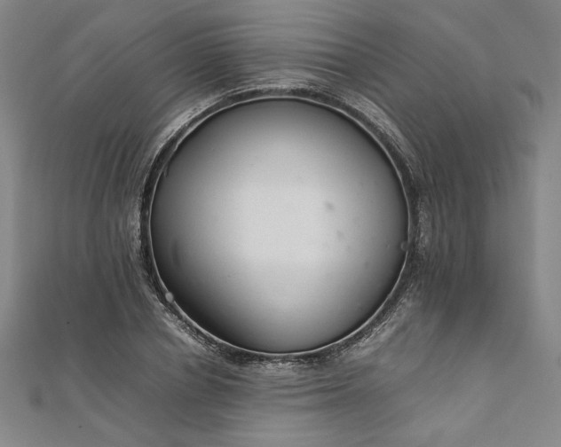 X0000111920834200908031203