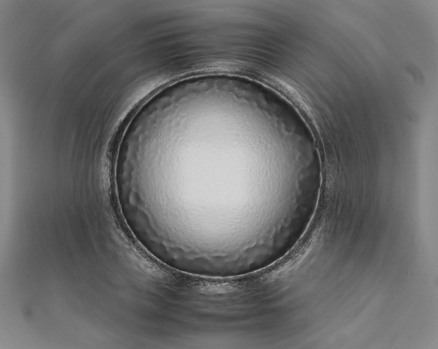 X0000111920835200908031203