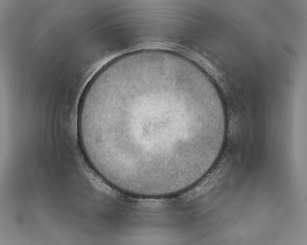 X0000111920836200908031203