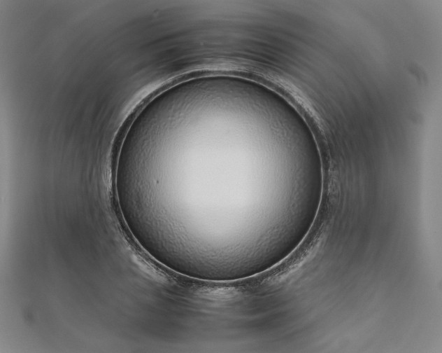 X0000111920837200908031203