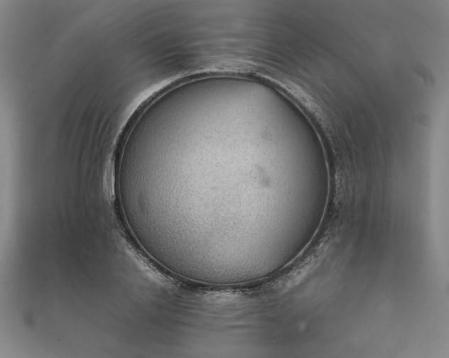 X0000111920838200908031203