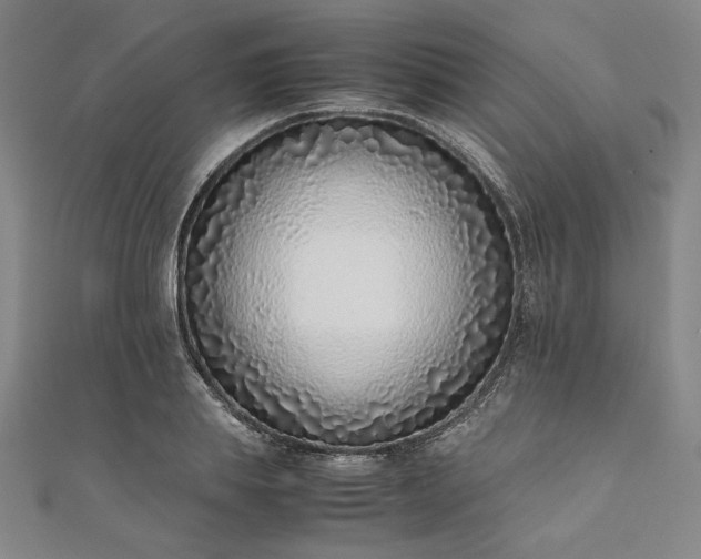 X0000111920839200908031203