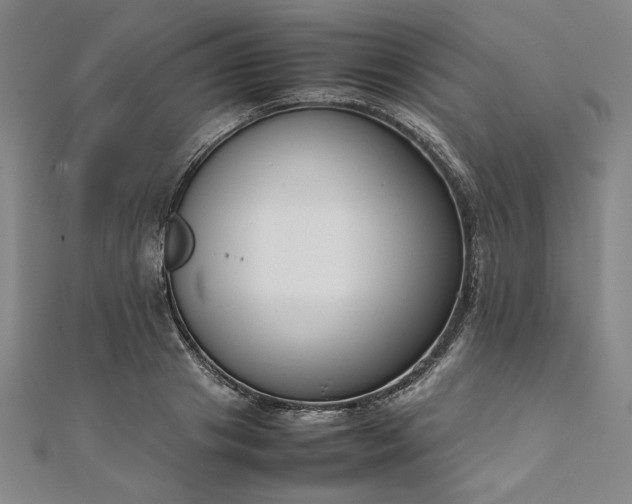 X0000111920841200908031203