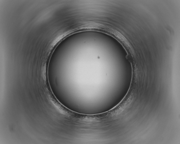 X0000111920842200908031203