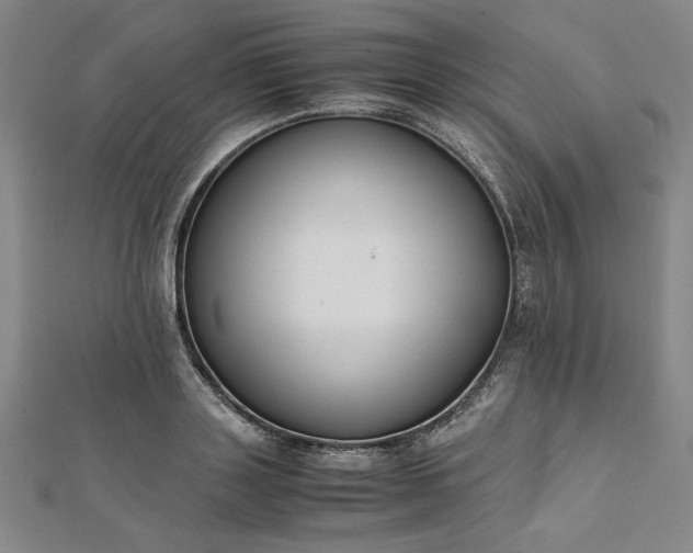 X0000111920843200908031203