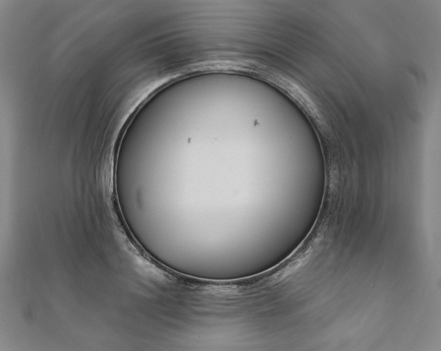 X0000111920844200908031203