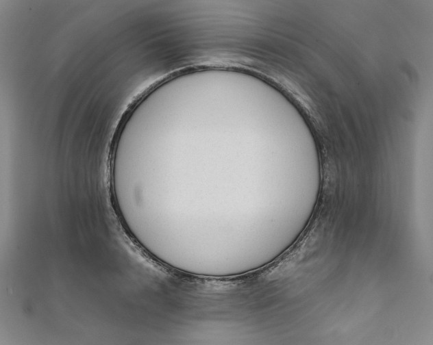 X0000111920848200908031203