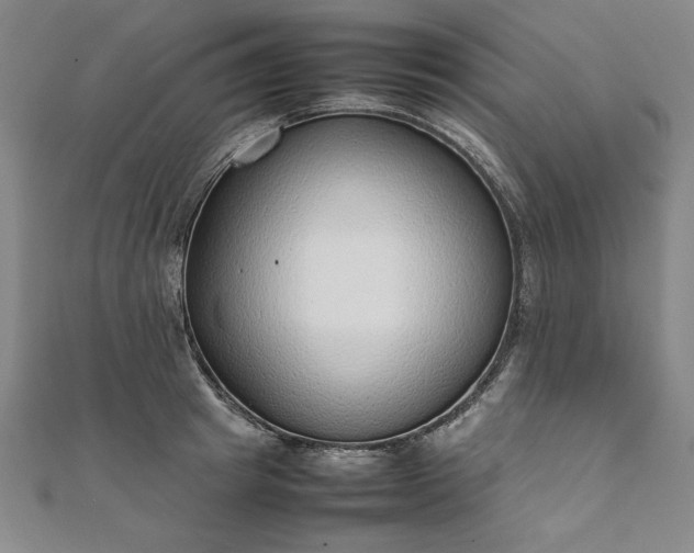 X0000111920849200908031203