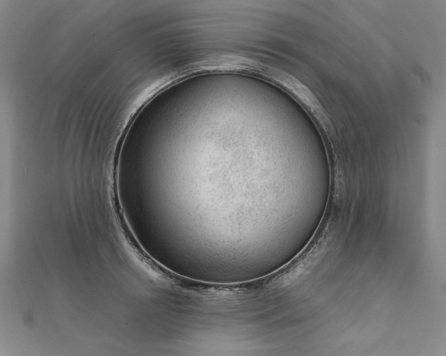 X0000111920850200908031203