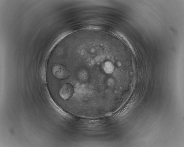 X0000111920851200908031203