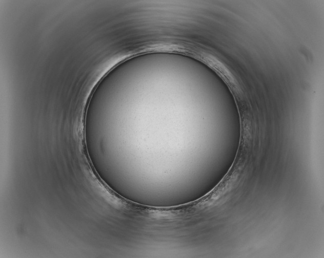 X0000111920852200908031203