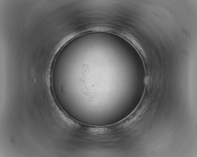 X0000111920853200908031203