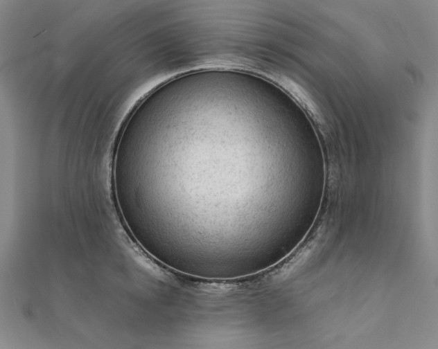 X0000111920854200908031203