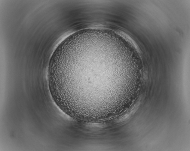 X0000111920855200908031203