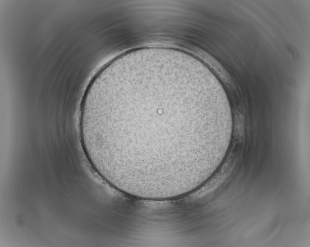 X0000111920856200908031203