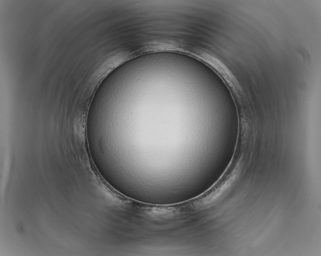 X0000111920857200908031203