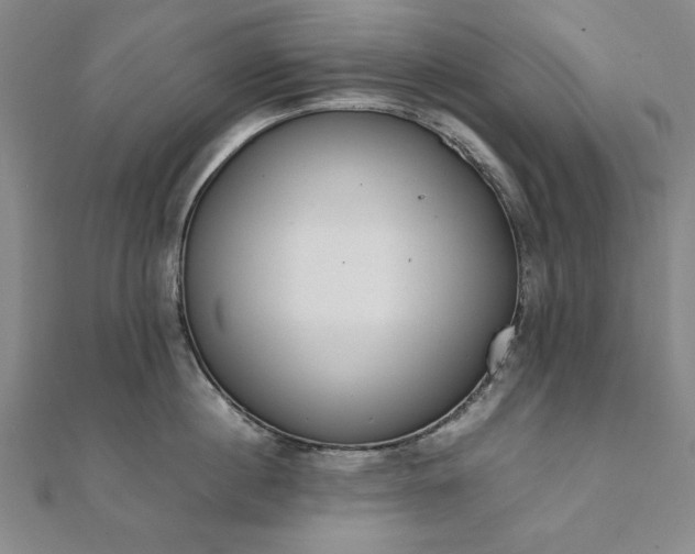 X0000111920860200908031203