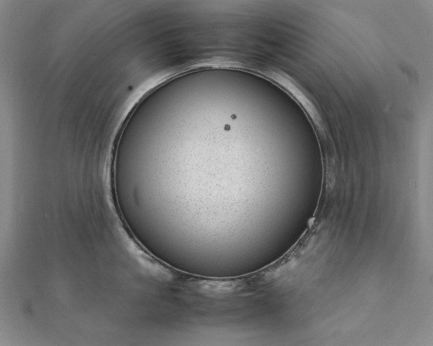 X0000111920861200908031203