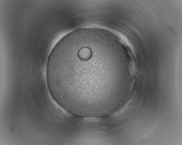 X0000111920863200908031203