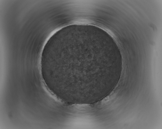 X0000111920864200908031203